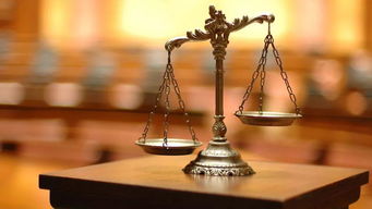 从法律视角看球鞋的投资属性及销售策略分析